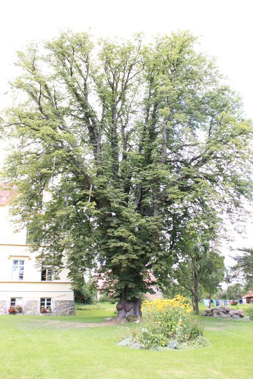 Schloss Lelkendorf - Fewo Parkblick المظهر الخارجي الصورة
